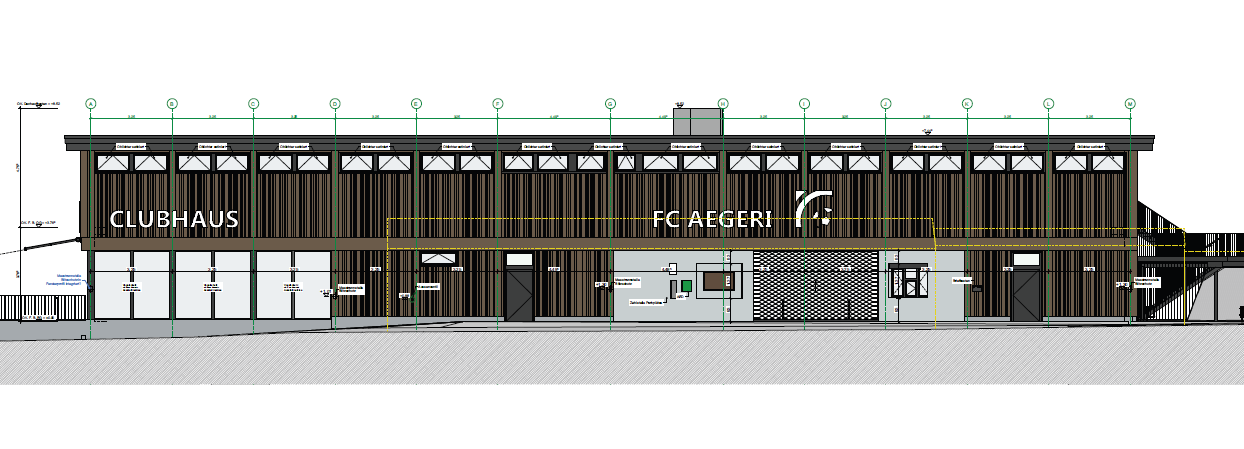 Project Item